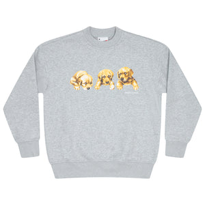 GREY STA DOG CREW