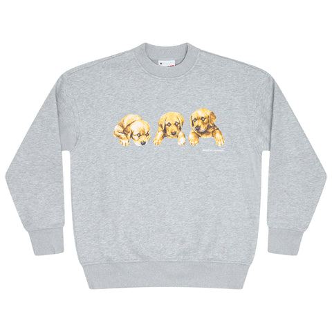 GREY STA DOG CREW
