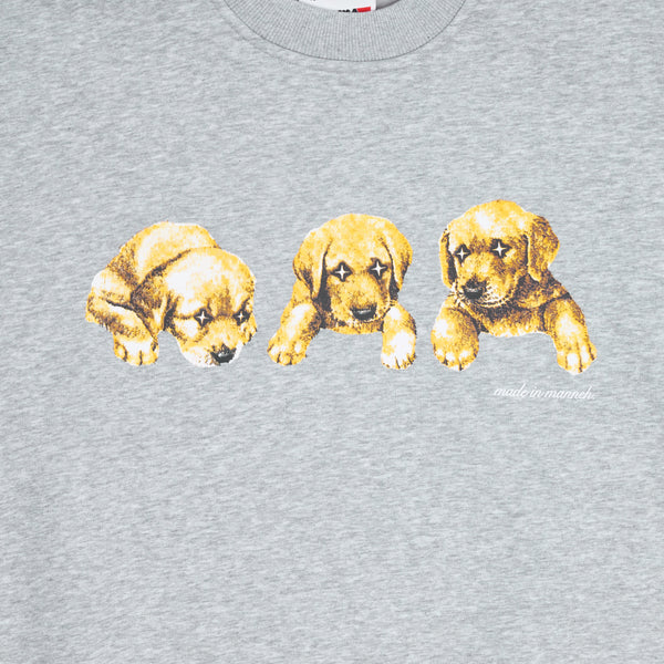 GREY STA DOG CREW