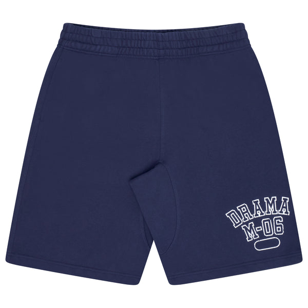 NAVY DISTRESSED COLLEGE SHORTS