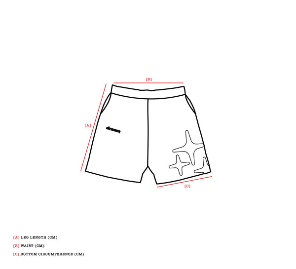 LIGHTWEIGHT NYLON SHORTS (BABY BLU)