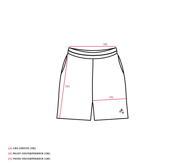 BROWN STA TRAININ SHORTS